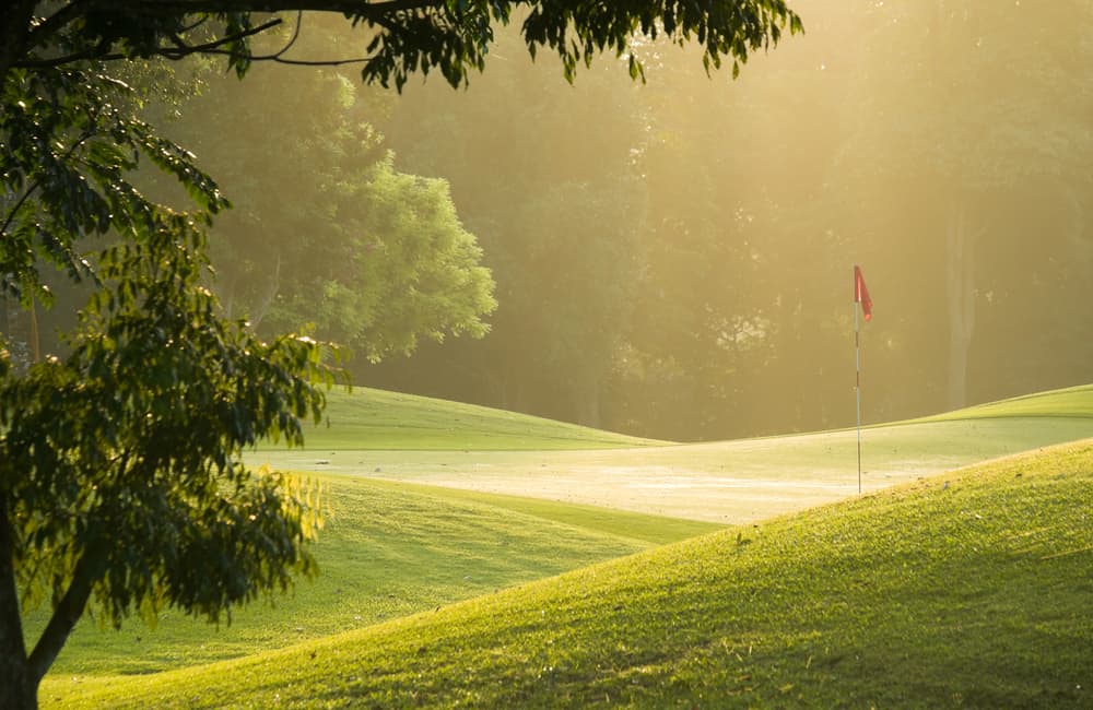 Green golf slope