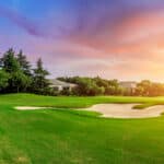Green grass and woods on a golf field