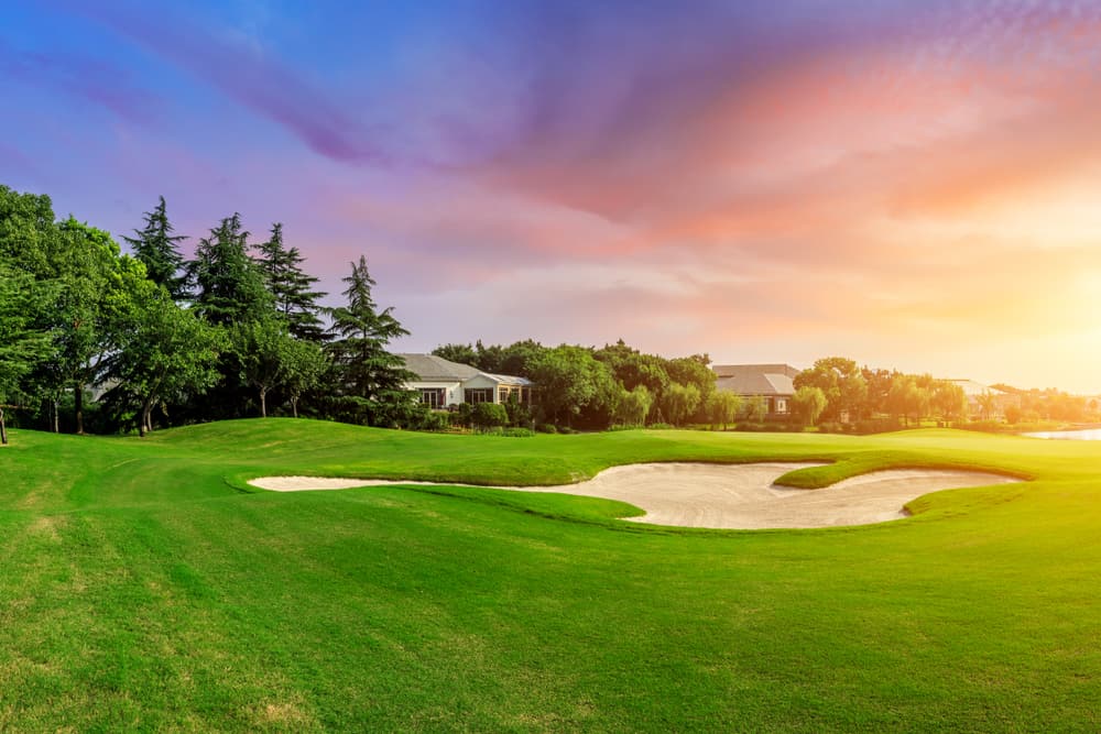 Green grass and woods on a golf field