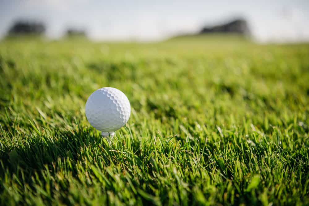 Golf ball on grass