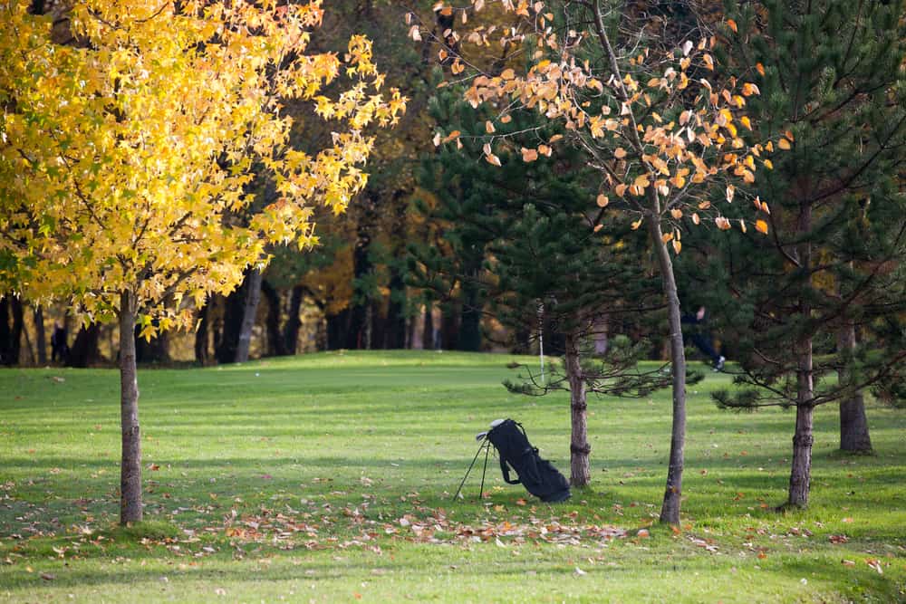 Fall season on a golf course